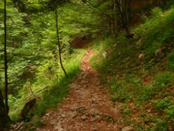 2013-06-23_Sonnenspitz_Jochberg (045).JPG
